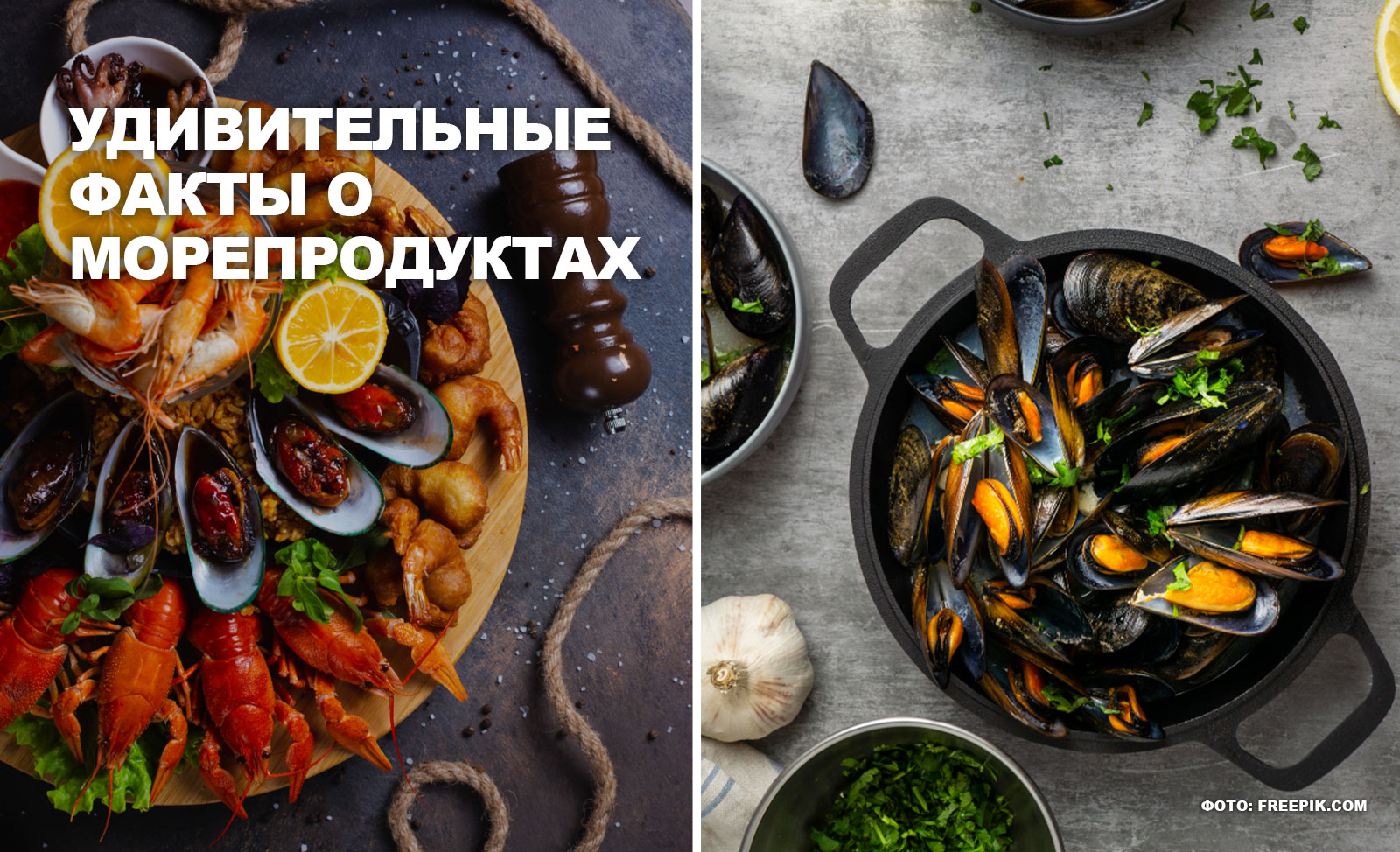 Удивительные факты о морепродуктах