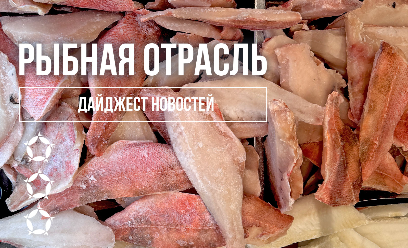 Дайджест новостей рыбной отрасли