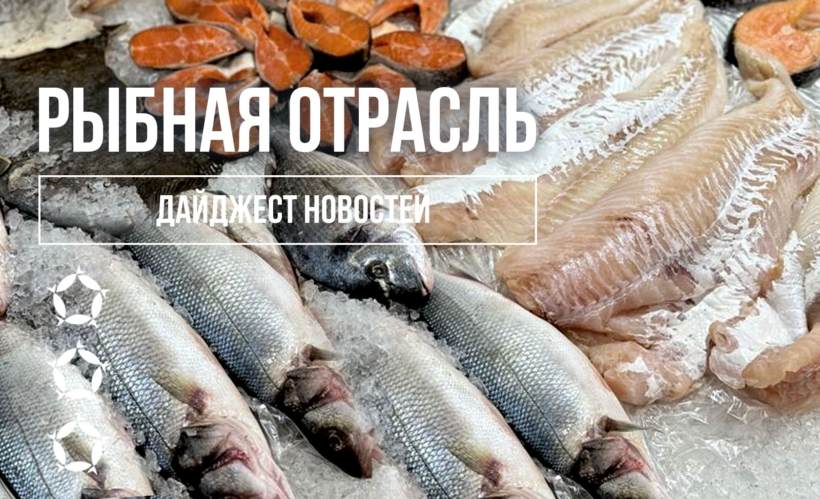новости рыбной отрасли