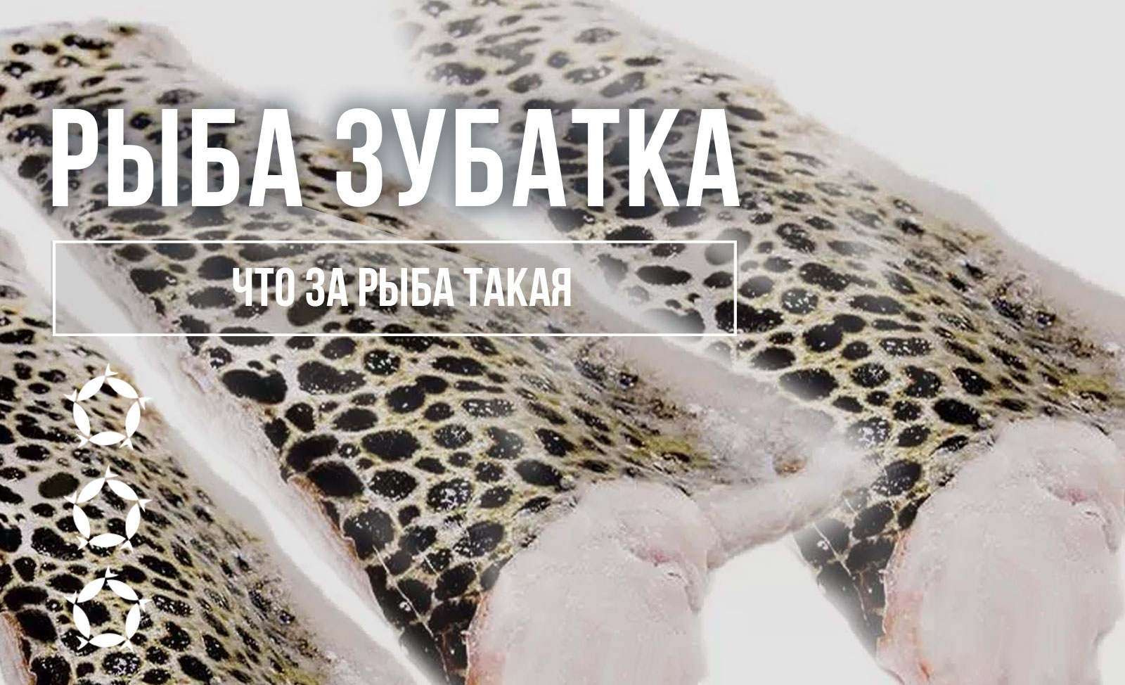 Зубатка