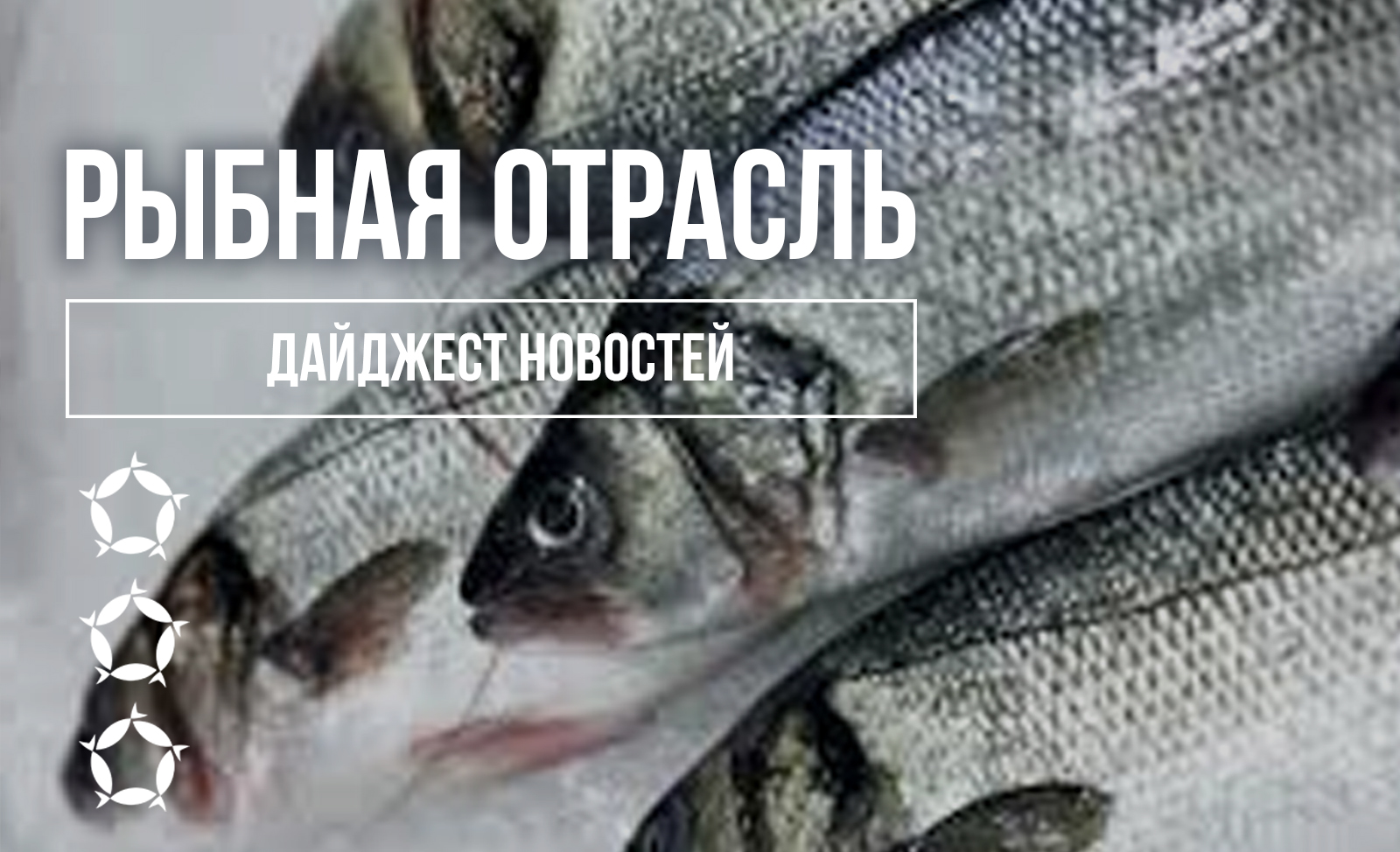 Новости рыбной отрасли