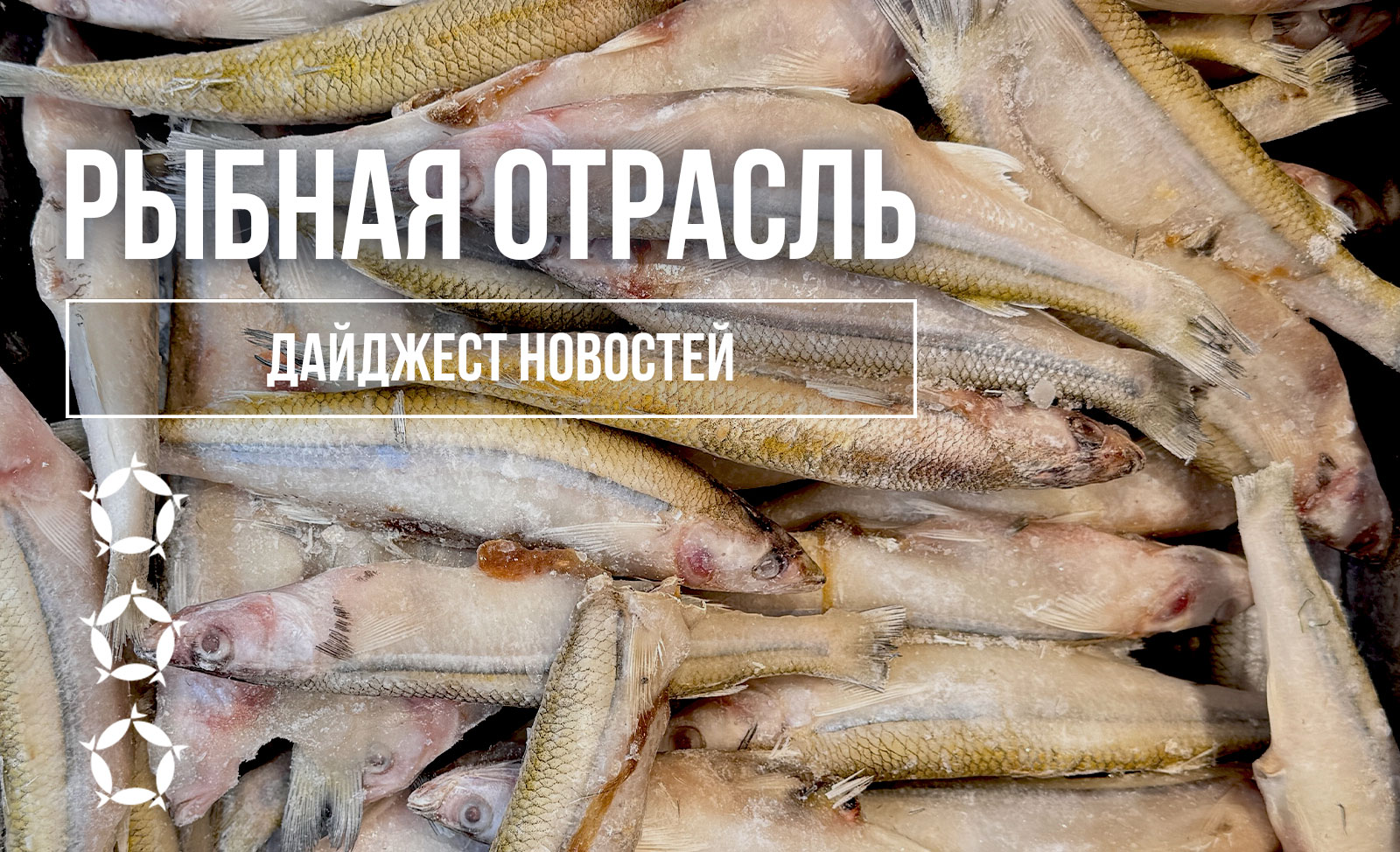 Дайджест новостей рыбной отрасли