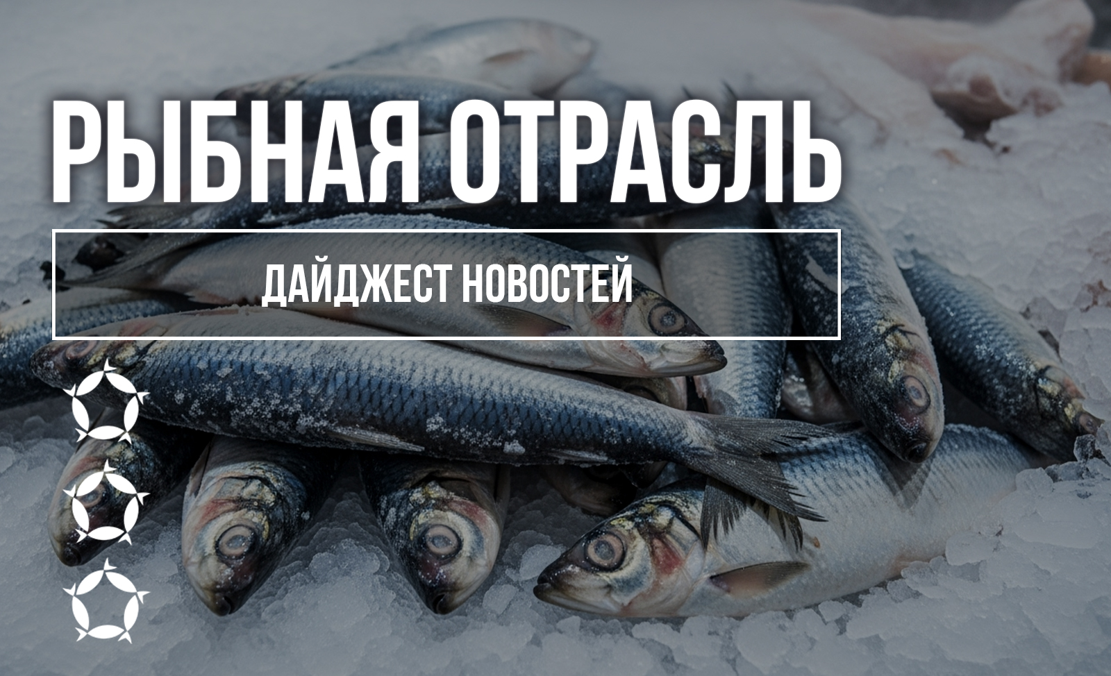 Дайджест новостей рыбной отрасли