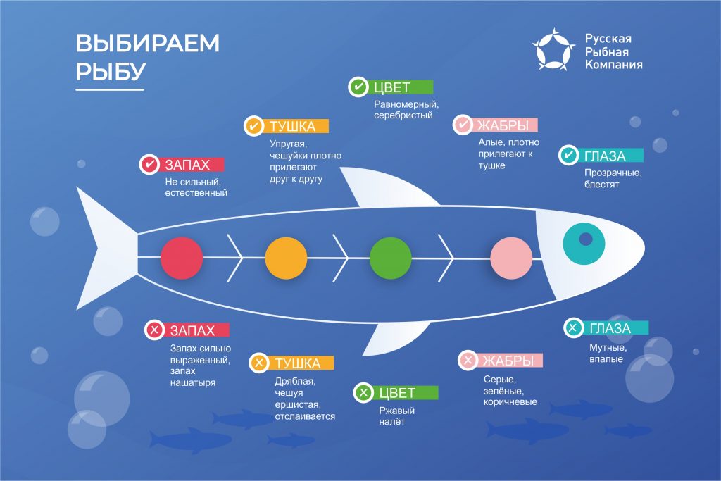 Инфографика: как выбрать качественную рыбу