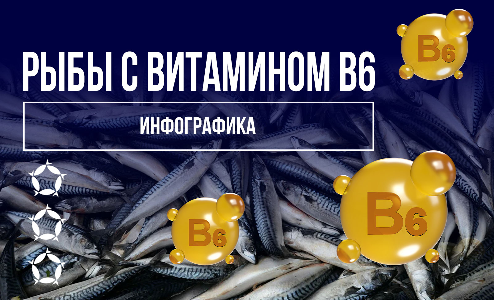 Инфографика: Рыбы с витамином В6