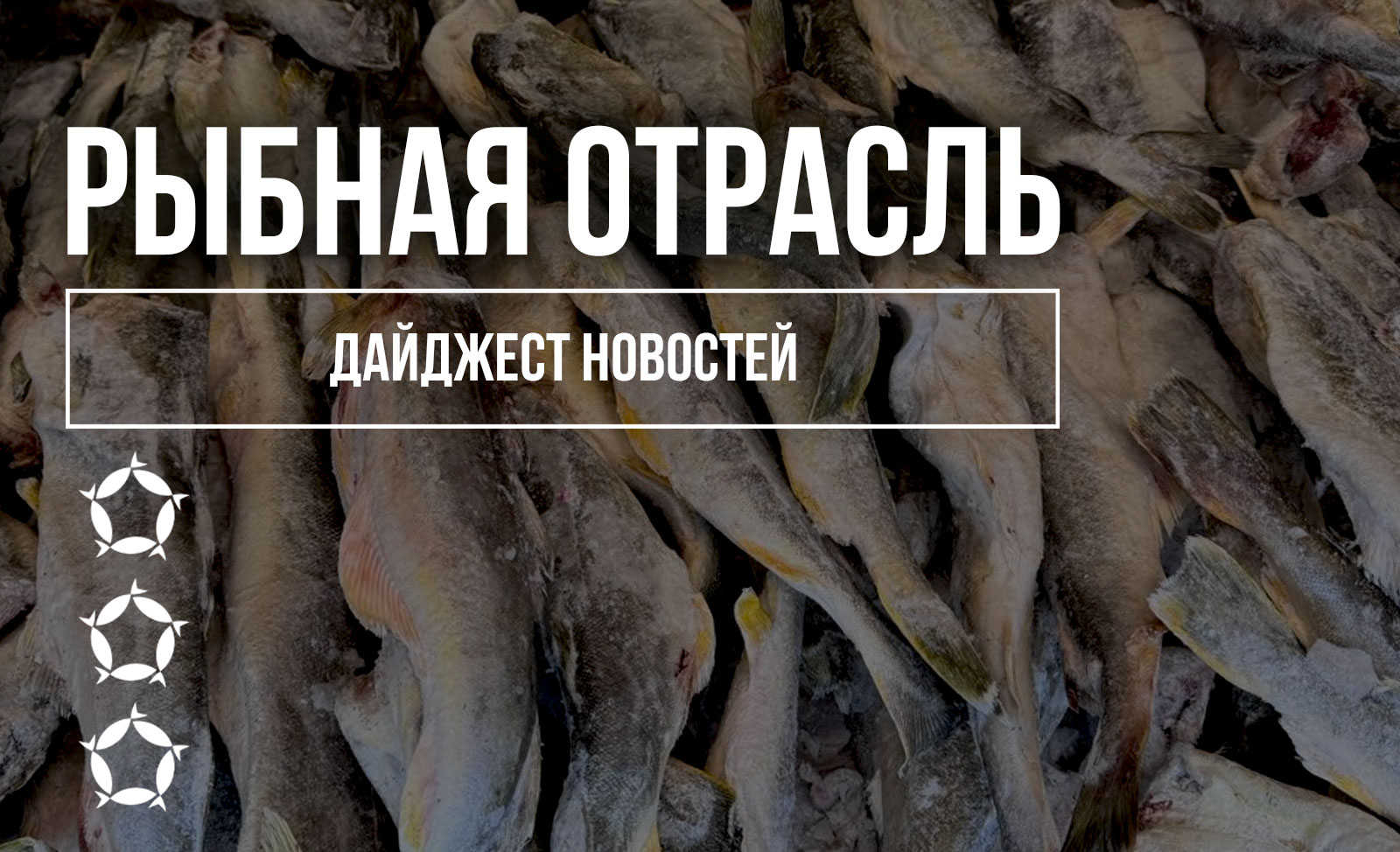 Дайджест новостей рыбной отрасли