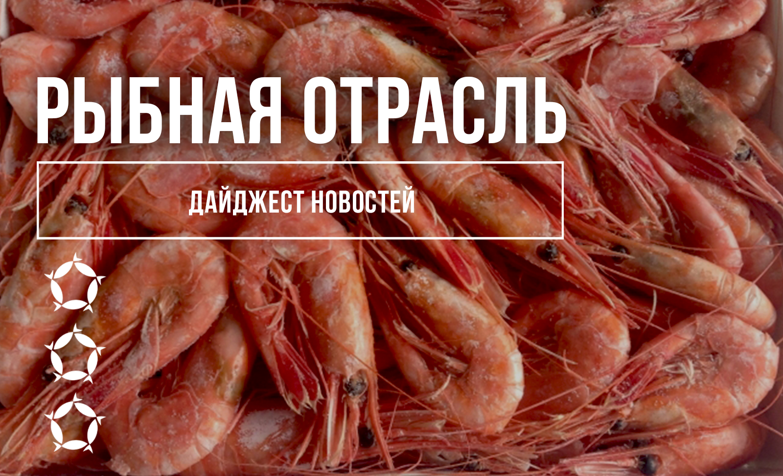 Новости рыбного рынка