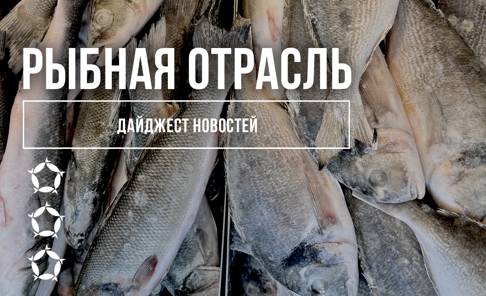 Дайджест новостей рыбной отрасли