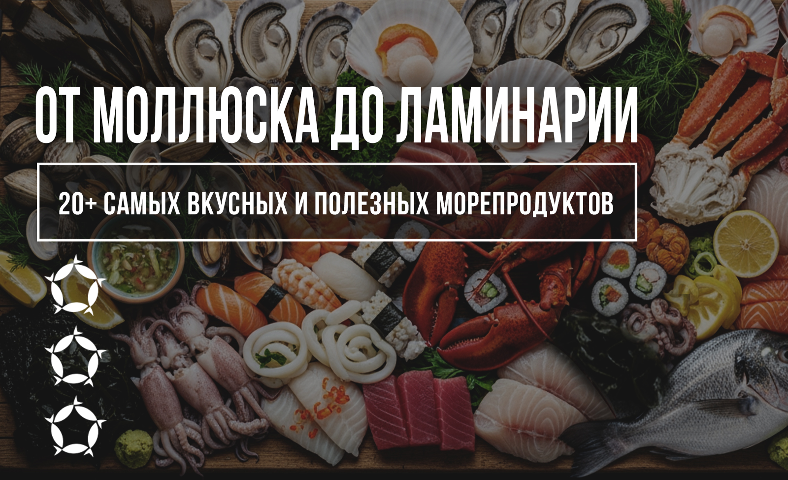вкусные и полезные морепродукты