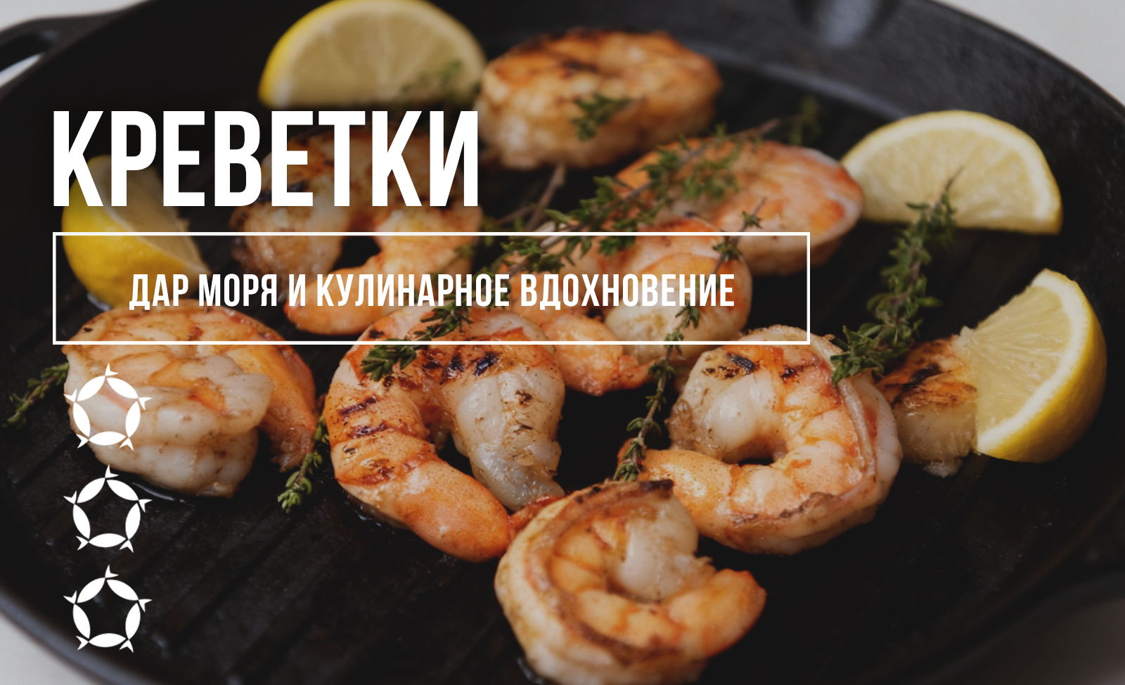 Креветки: Дар моря и кулинарное вдохновение