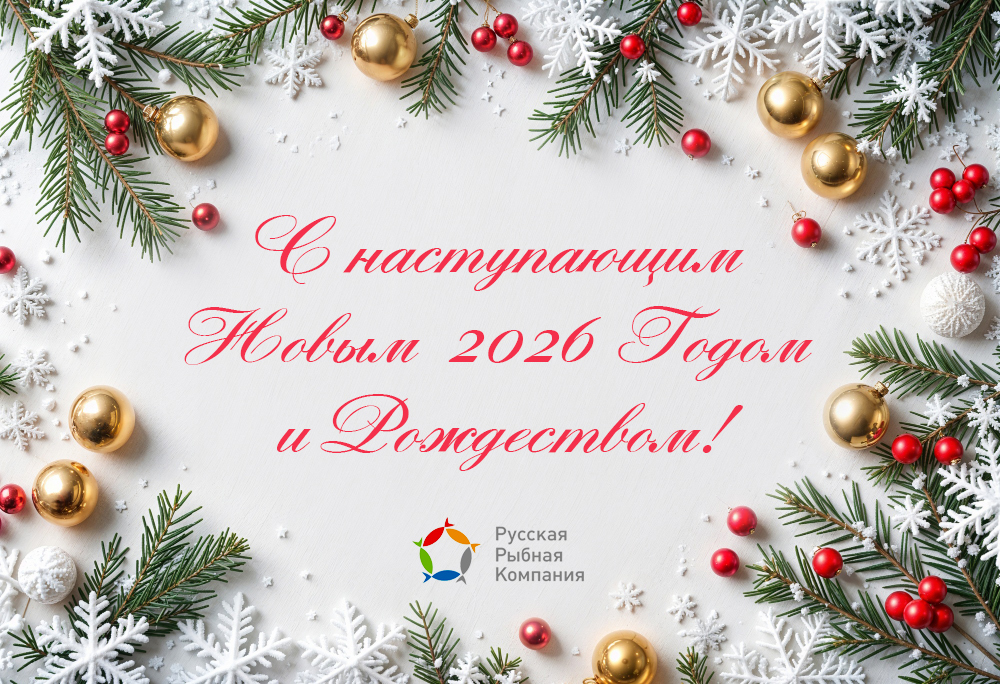 С наступающим Новым 2026 годом и Рождеством!