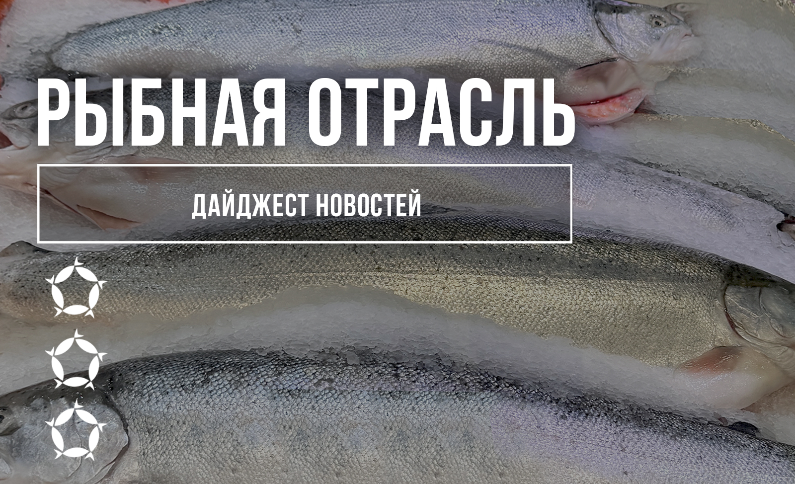 Дайджест новостей