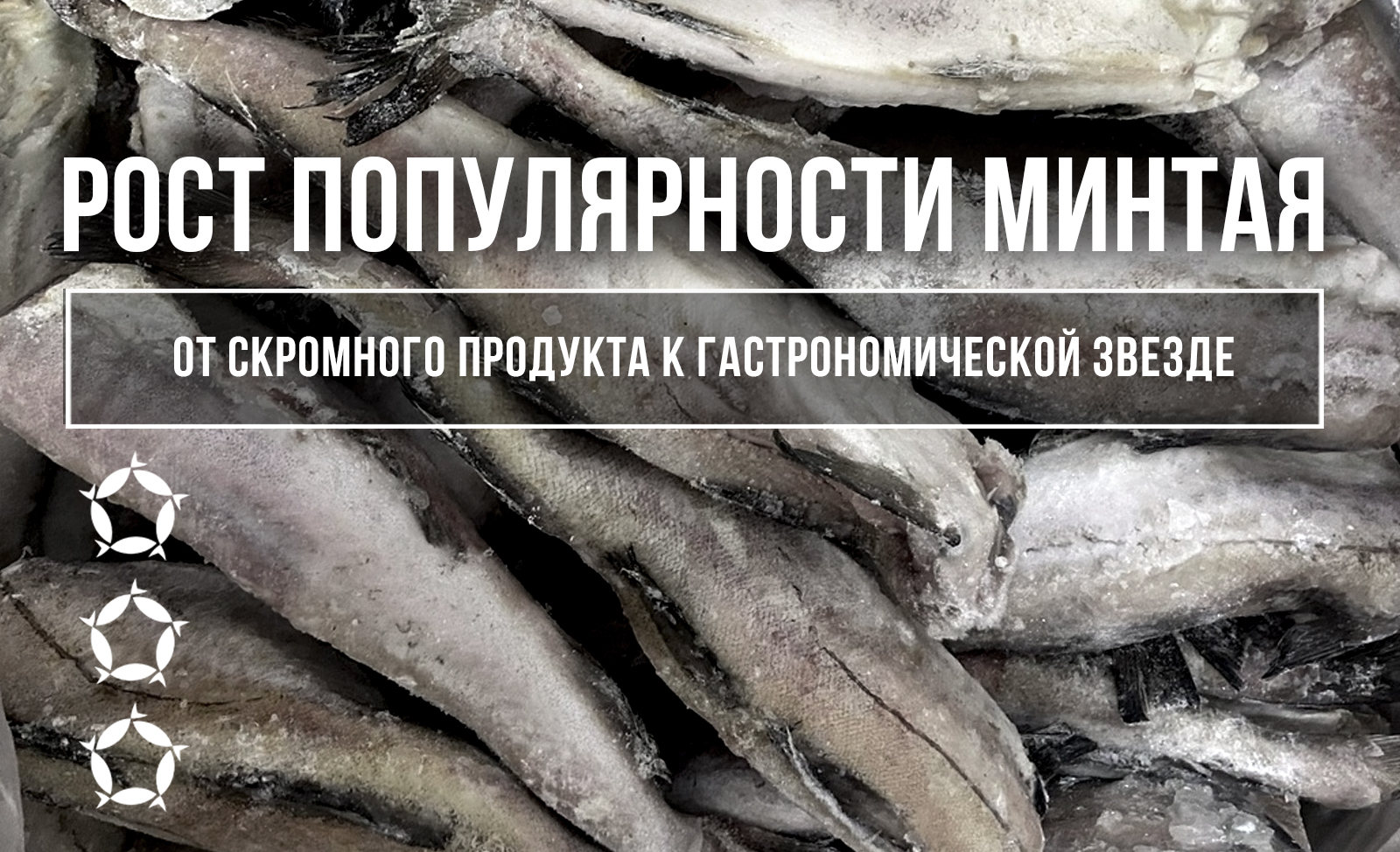 Рост популярности минтая