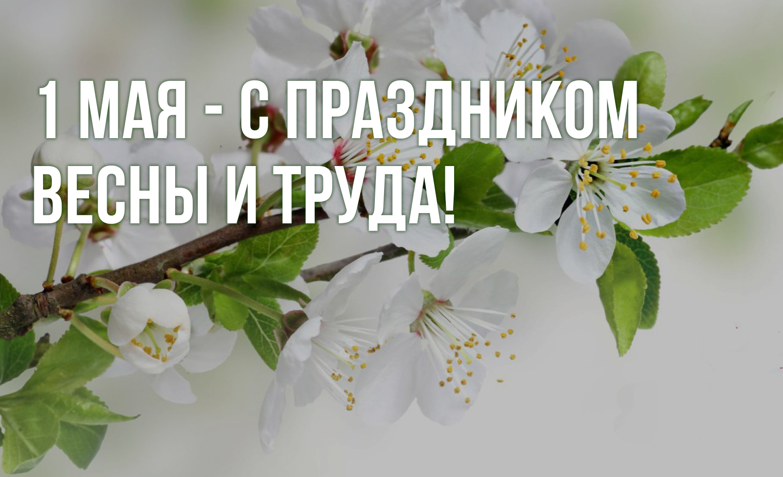 Поздравляем с 1 мая!