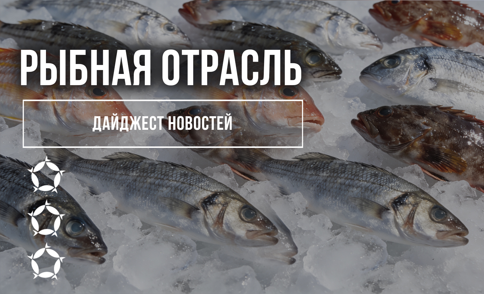 Дайджест новостей рыбной отрасли