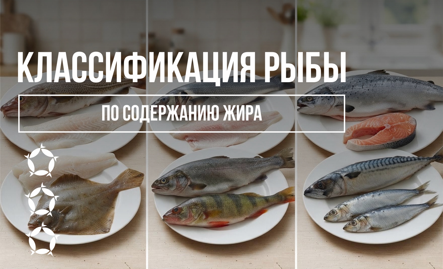Классификация рыбы по содержанию жира